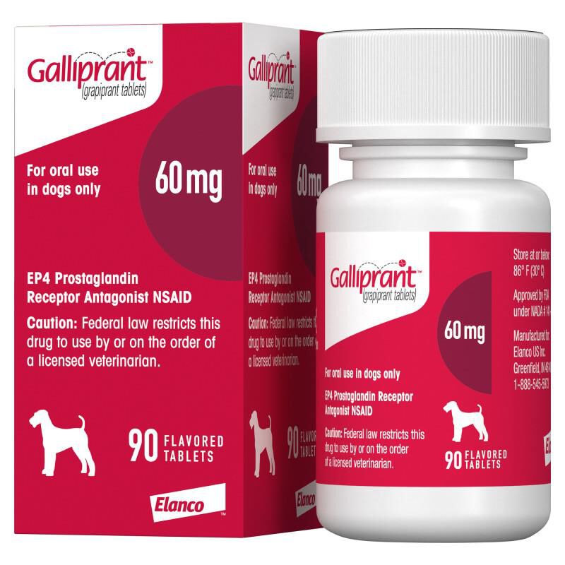 Galliprant Flavored Tablets | 20 mg, 60 mg, 100 mg | Allivet