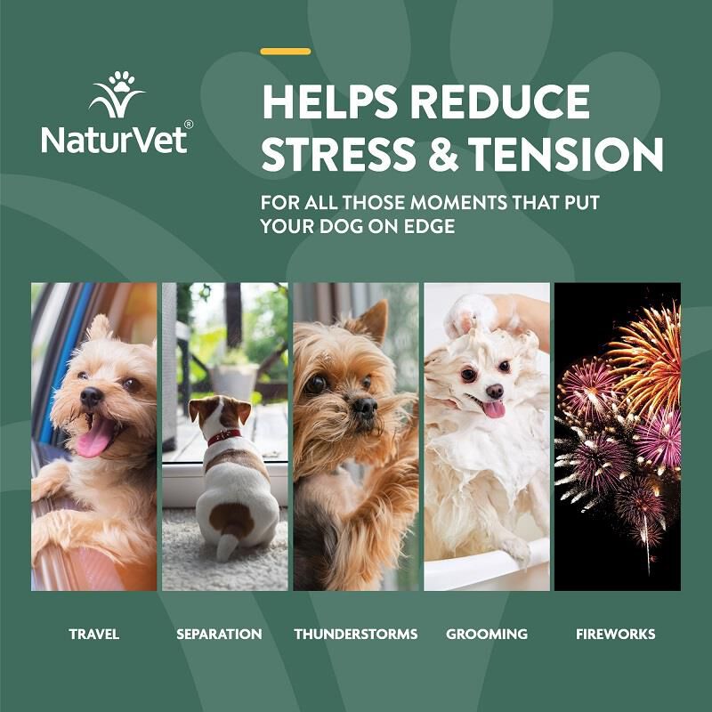 NaturVet Hemp Quiet Moments Plus Hemp Chews for Dogs Allivet