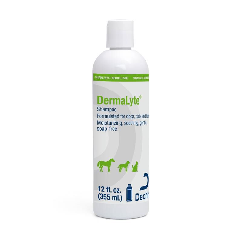 DermaLyte Shampoo