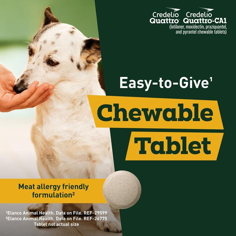 Credelio Quattro Flavored Chewable Tablet for Dogs & Puppies 12.1-25 lbs Orange 12 Month Supply
