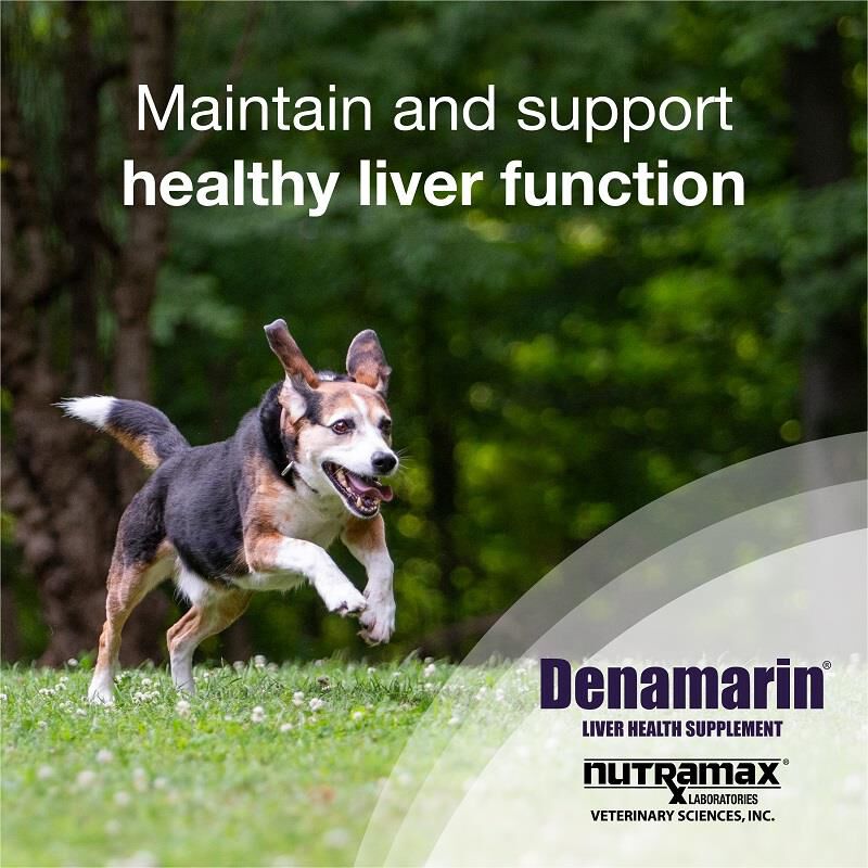 Denamarin Medium Dogs 30 Ct. (Blister Pack Box)