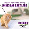 Nutramax Dasuquin for Cats for Joint Health, 84 Capsules