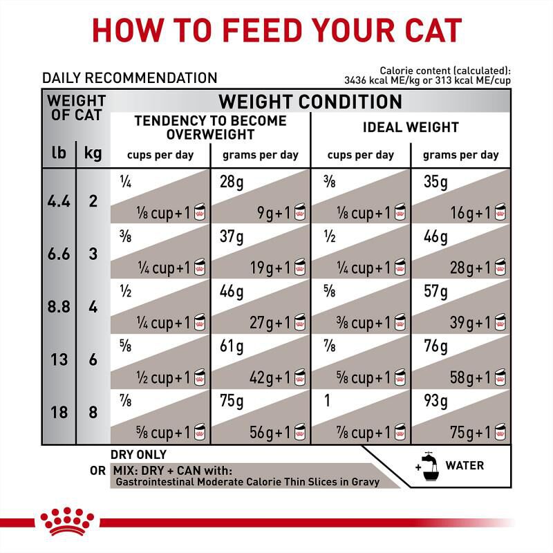Royal Canin Veterinary Diet Adult Gastrointestinal Moderate Calorie Dry Cat Food, 7.7 lb bag