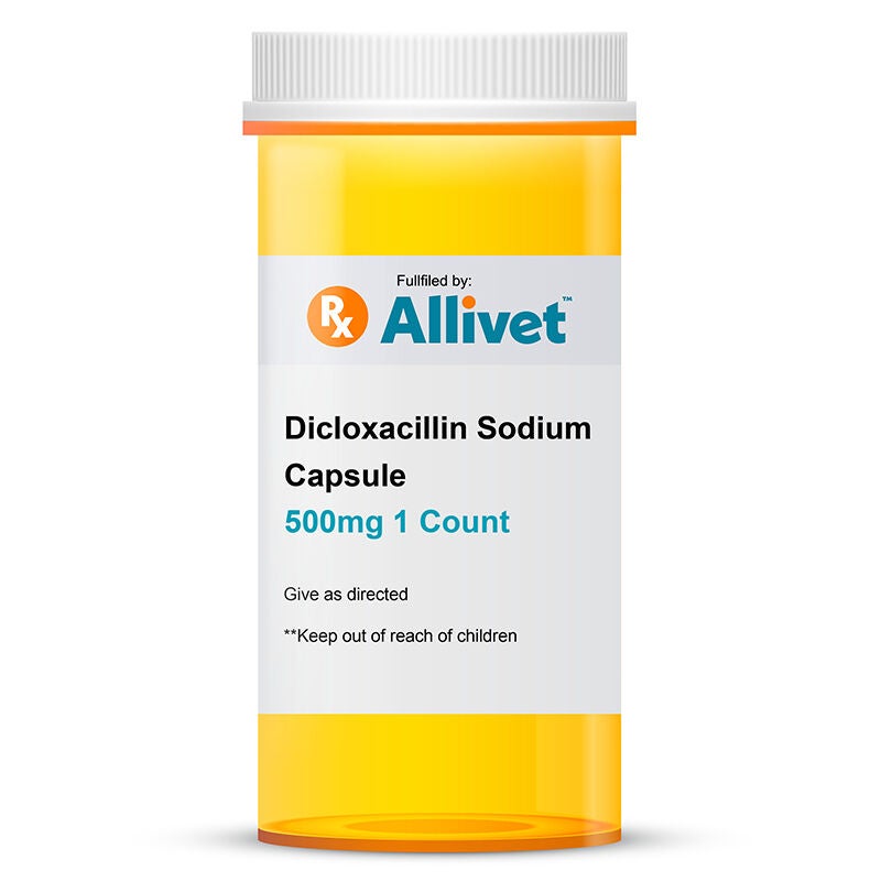 Dicloxacillin Sodium Capsule, 500 mg 1 Count