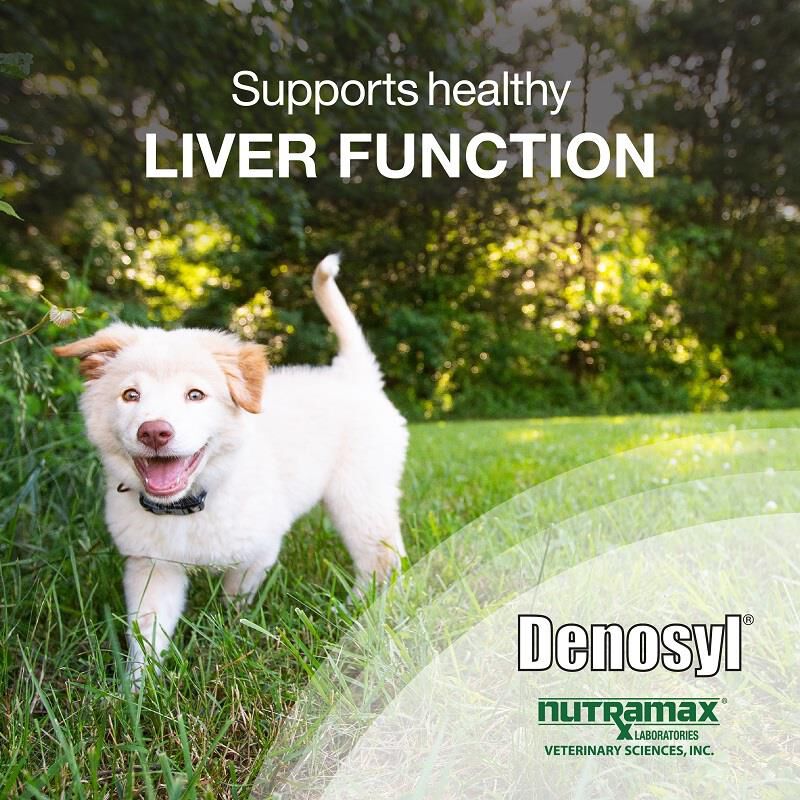 Denosyl 225 mg Medium Dogs