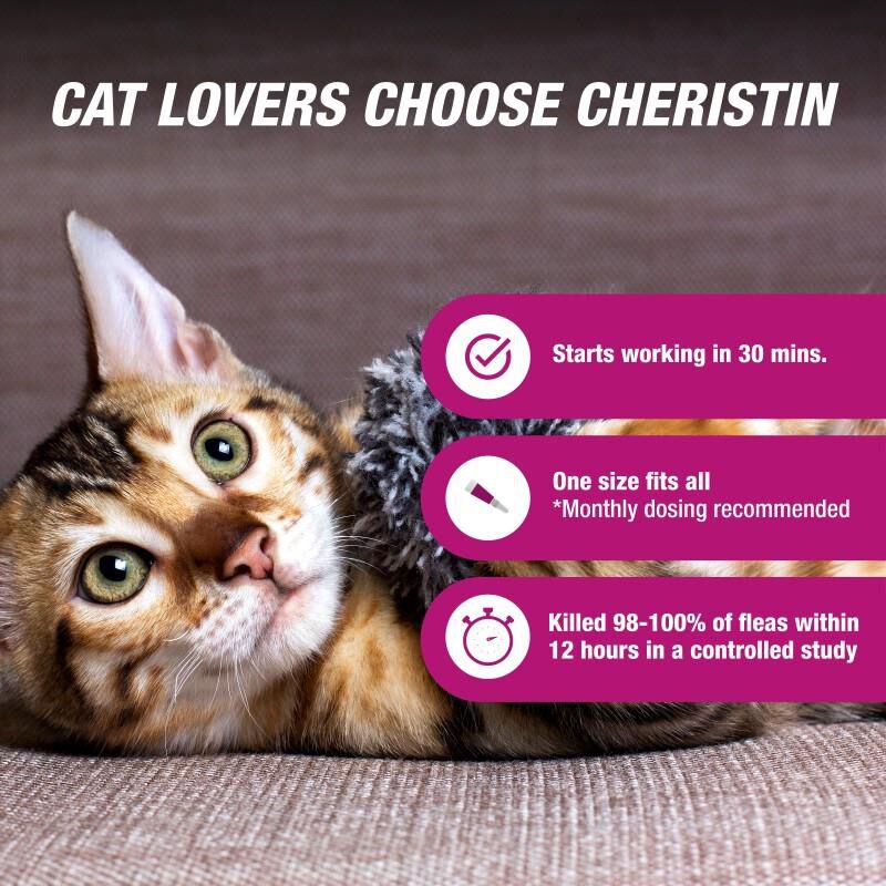 Buy Cheristin for Cats Topical Flea Treatment Allivet