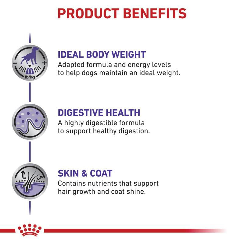 Royal Canin Veterinary Diet Adult Weight Control Loaf in Sauce Canned Dog Food, 24 x 13.5 oz cans