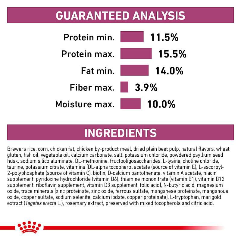 Royal Canin Veterinary Diet Adult Renal Support F Dry Dog Food, 6 lb bag