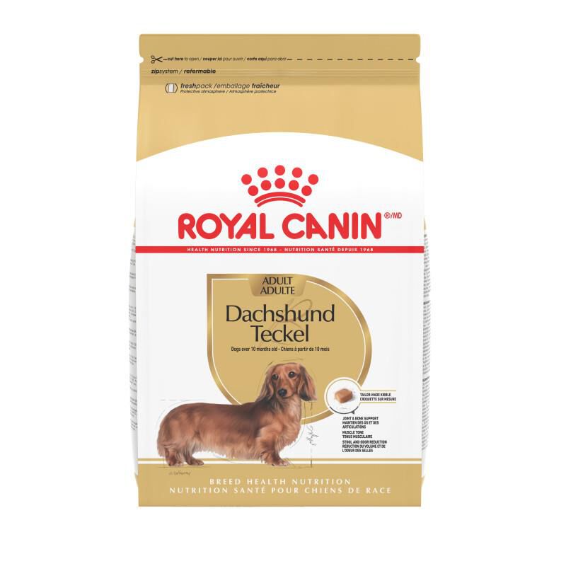 Royal Canin Breed Health Nutrition Dachshund Adult Dry Dog Food, 10 lb bag