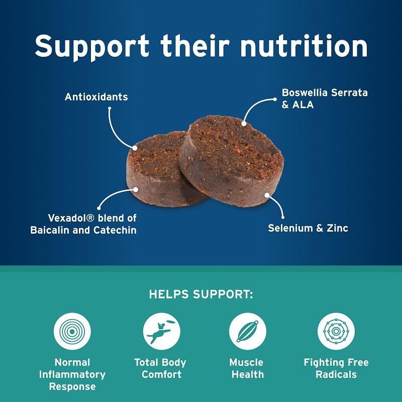 Pet Protect Body Comfort + Alenza Soft Chews for Dogs, 120 Ct.