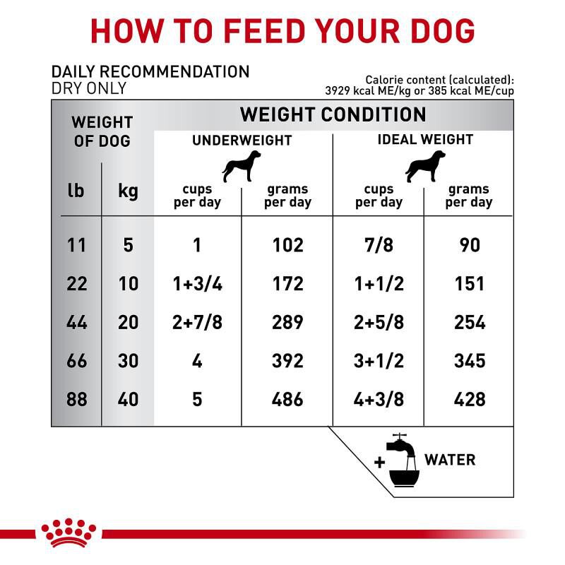 Royal Canin Veterinary Diet Adult Multifunction Renal Support + Hydrolyzed Protein Dry Dog Food, 17.6 lb bag