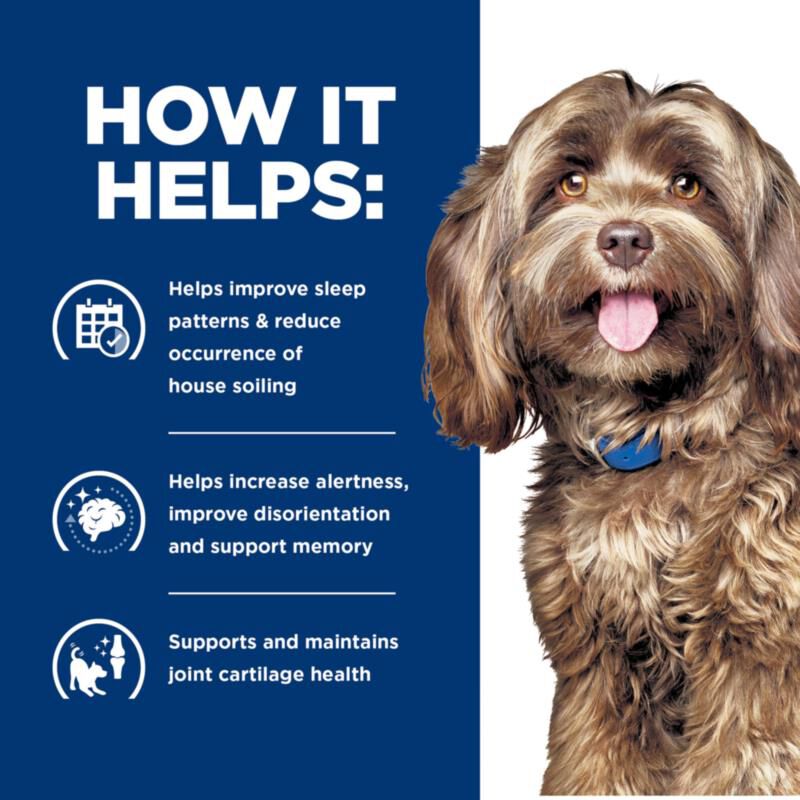 Hill&rsquo;s Prescription Diet Brain Care + j/d Joint Care Rice & Turkey Wet Dog Food, 12 x 13 oz cans