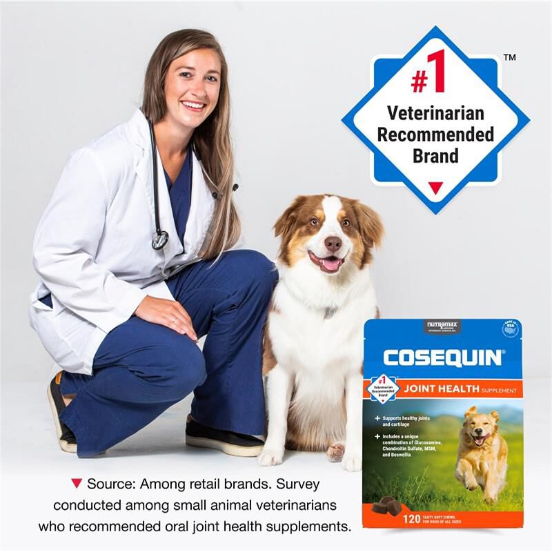 Cosequin Max Strength Joint Supplement for Dogs w/MSM plus Omega-3's, 120 Soft Chews