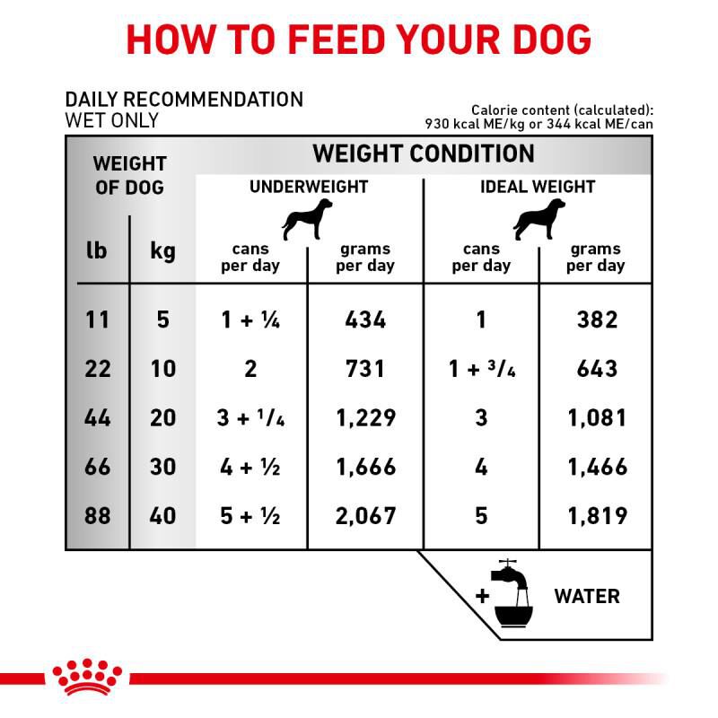 Royal Canin Veterinary Diet Adult Renal Support D Thin Slices in Gravy Canned Dog Food, 24 x 13 oz cans
