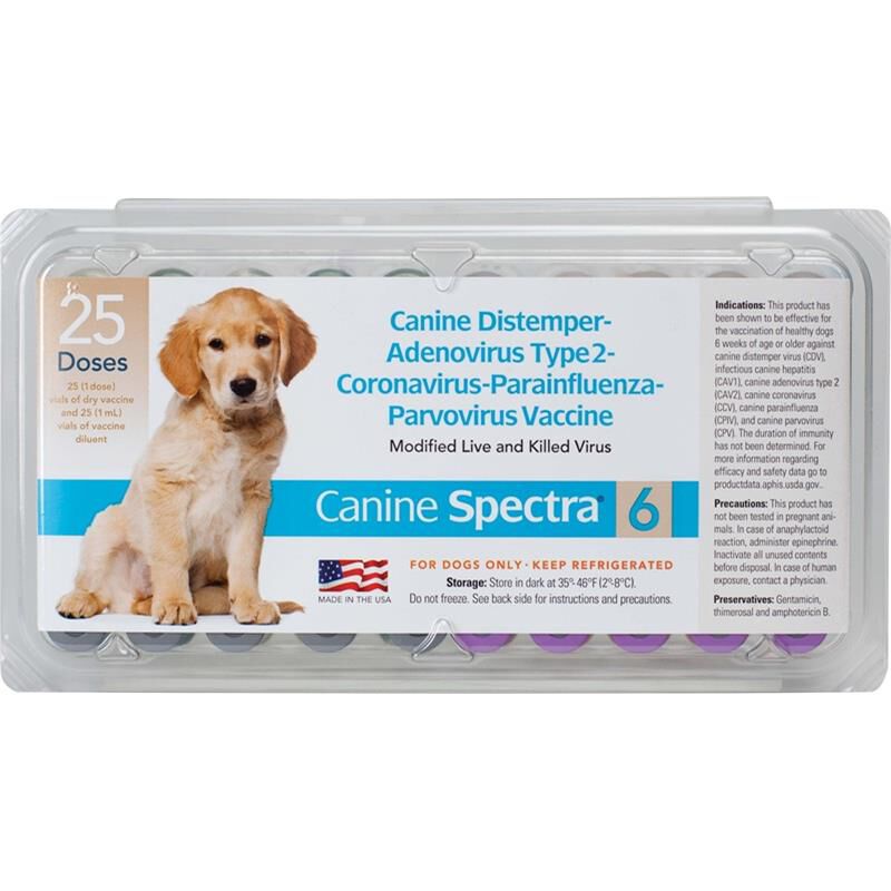 Canine Spectra 6, 25 ds tray w/o syringe