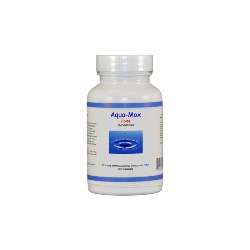 amoxicillin liquid online