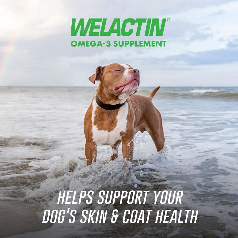 Welactin Omega3 Skin & Coat Health plus Overall Wellness Supplement