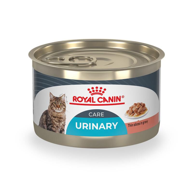 Royal Canin Feline Care Nutrition Urinary Care Adult Thin Slices in Gravy Canned Cat Food, 24 x 5.1 oz cans