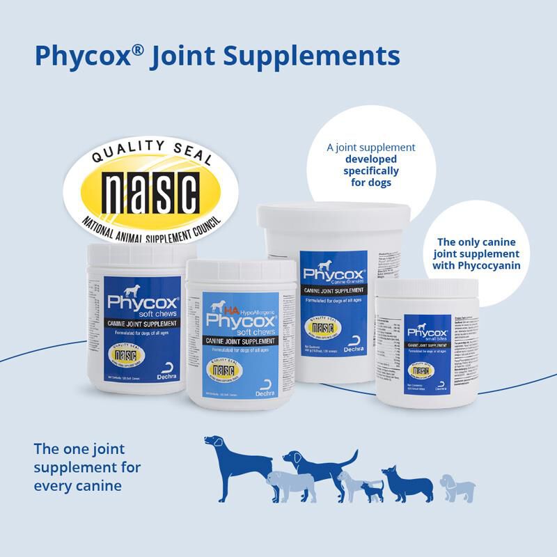 Phycox HA Soft Chews