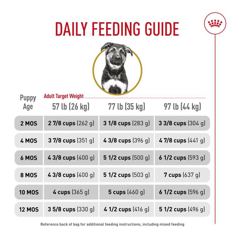 Royal Canin Breed Health Nutrition German Shepherd Puppy Dry Dog Food