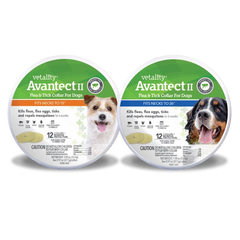 Expresamente caloría Lugar de la noche Vetality Avantect II Flea & Tick Collar for Dogs