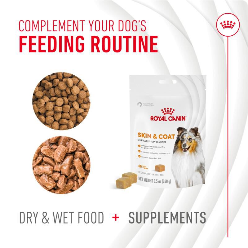 Royal Canin Adult Skin & Coat Chewable Supplements for Dogs, 60 Soft Chews