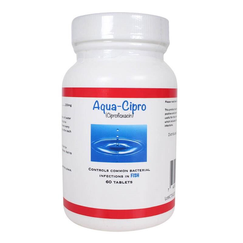Aqua-mox 500mg Amoxicillin