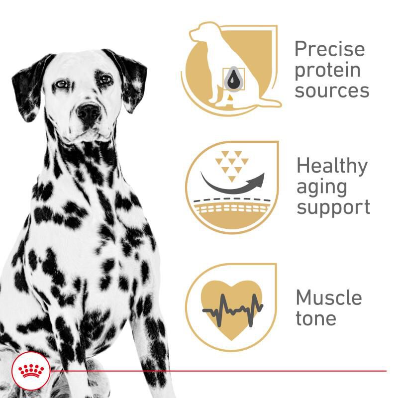 Royal Canin Breed Health Nutrition Dalmatian Adult Dry Dog Food, 30 lb bag