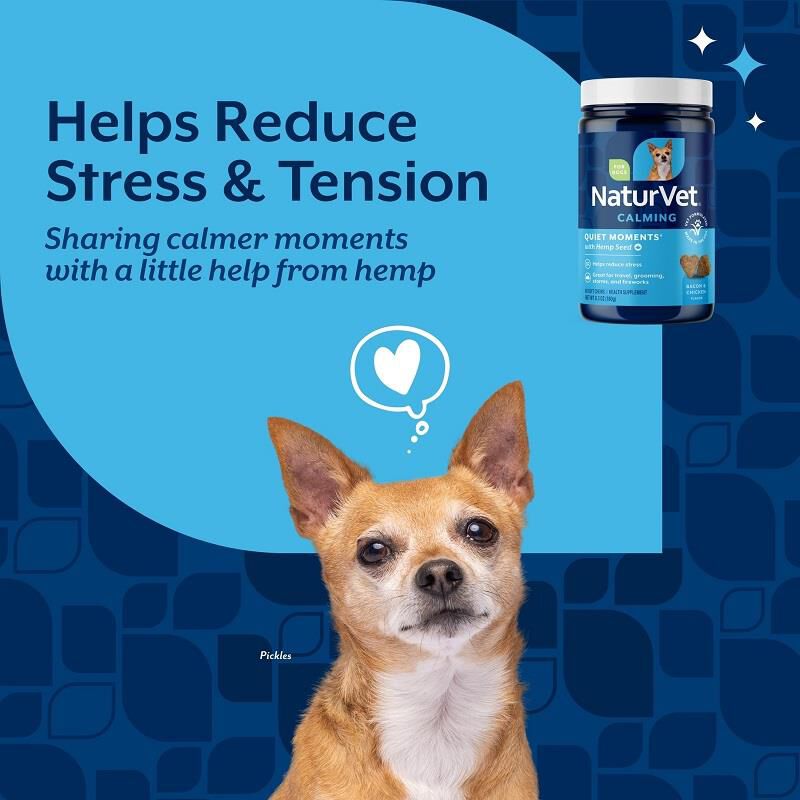 NaturVet Hemp Quiet Moments Plus Hemp Chews for Dogs | Allivet