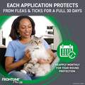 Frontline Plus for Cats and Kittens
