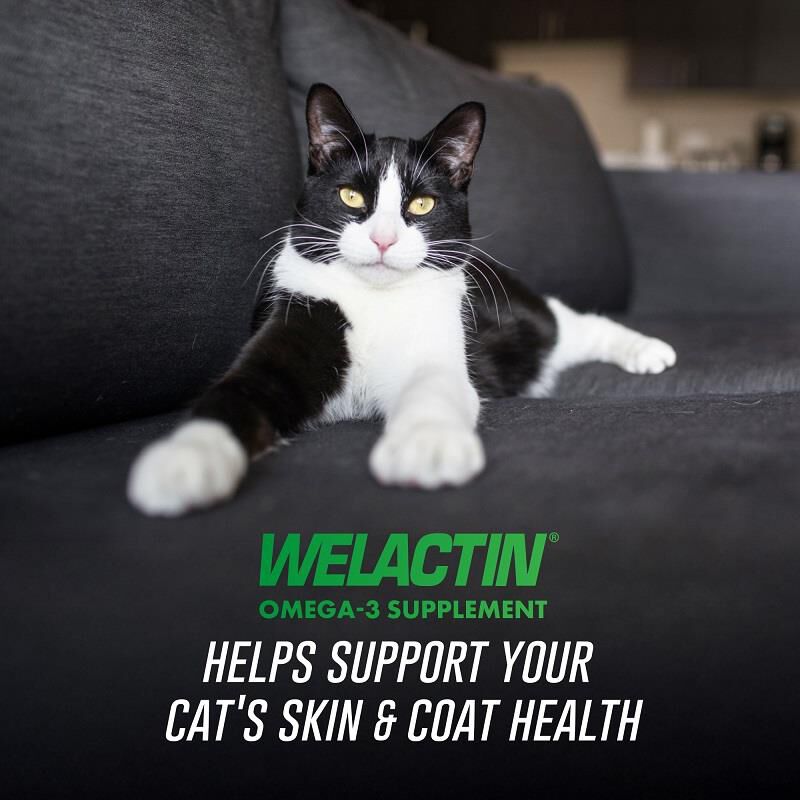 Welactin Feline Liquid for Cats Liquid Omega 3 Supplements Allivet