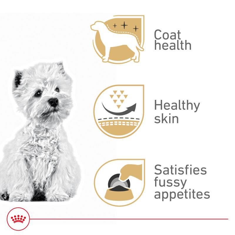 Royal Canin Breed Health Nutrition West Highland White Terrier Adult Dry Dog Food, 10 lb bag