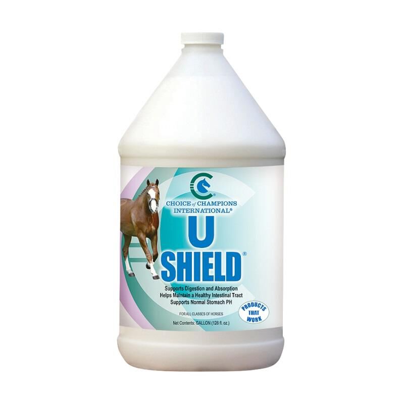 U Shield for Horses