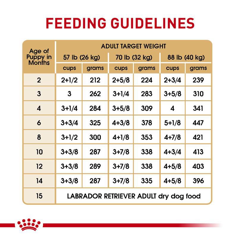 Royal Canin Breed Health Nutrition Labrador Retriever Puppy Dry Dog Food