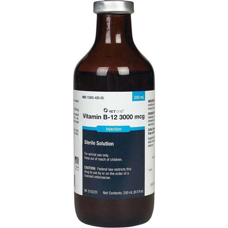 vitamin b12 dosage 5000 mcg injection Product Spotlight: Maxi-B 1000 main image 1