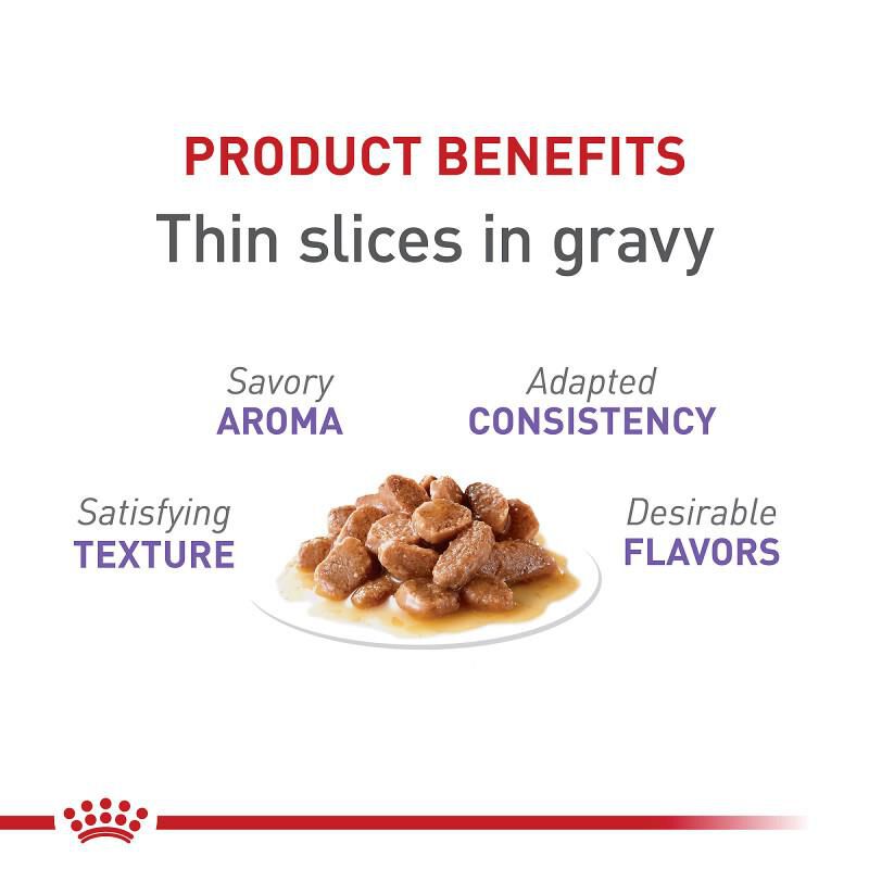 Royal Canin Feline Health Nutrition Spayed/Neutered Thin Slices in Gravy Canned Cat Food, 24 x 3 oz cans
