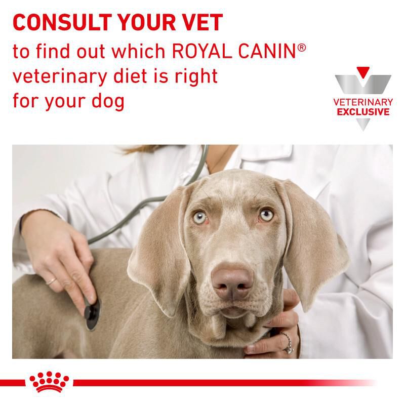 Royal Canin Veterinary Diet Adult Multifunction Renal Support + Advanced Mobility Support Thin Slices in Gravy Canned Dog Food, 24 x 13 oz cans