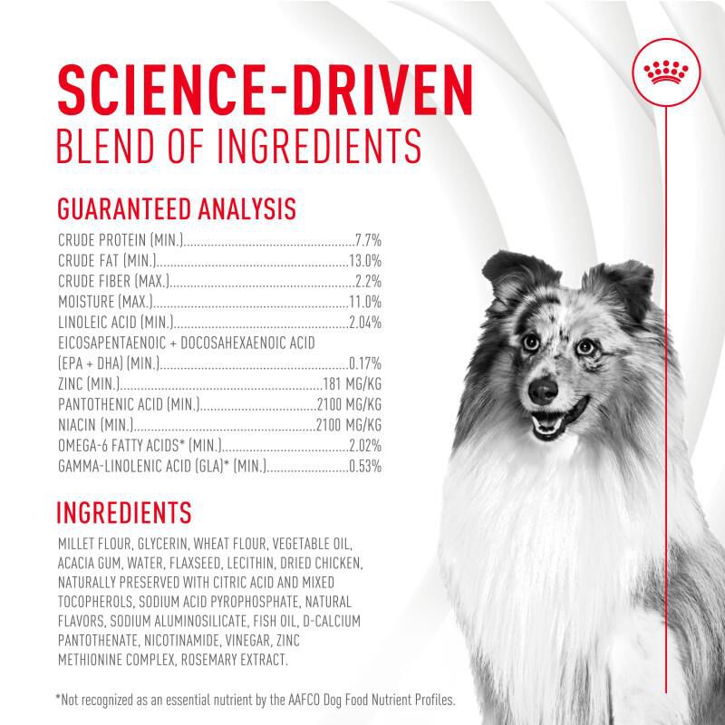 Royal Canin Adult Skin & Coat Chewable Supplements for Dogs, 60 Soft Chews