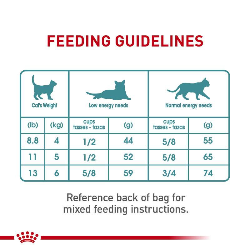Royal Canin Feline Care Nutrition Hairball Care Adult Dry Cat Food, 6 lb bag