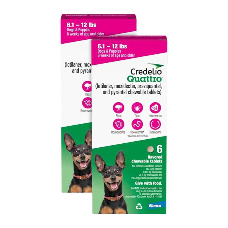 Credelio Quattro Flavored Chewable Tablet for Dogs & Puppies 6.1-12 lbs Pink 12 Month Supply