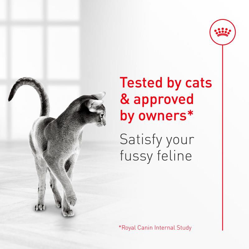Royal Canin Feline Health Nutrition Fussy Adult Dry Cat Food, 7.7 lb