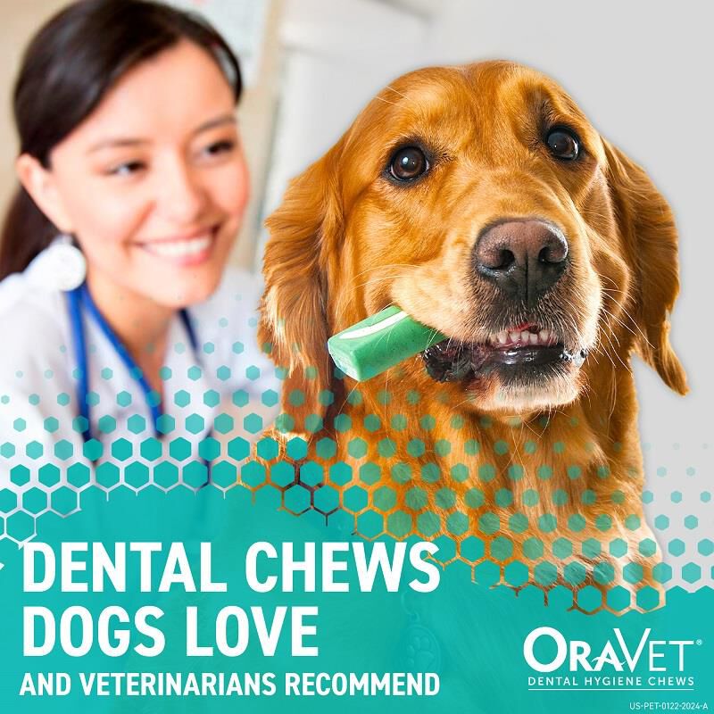 Oravet dental chews large 2025