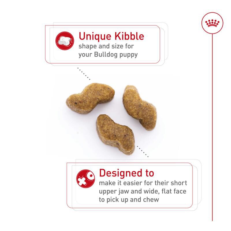 Royal Canin Breed Health Nutrition Bulldog Puppy Dry Dog Food