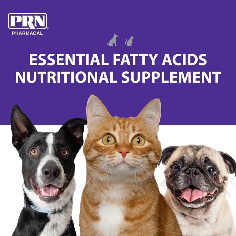 Optima dog food online