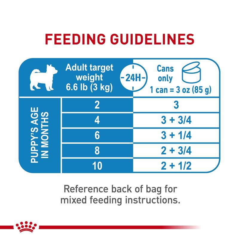 Royal Canin Size Health Nutrition X-Small Puppy Thin Slices in Gravy Canned Food, 24 x 3 oz cans