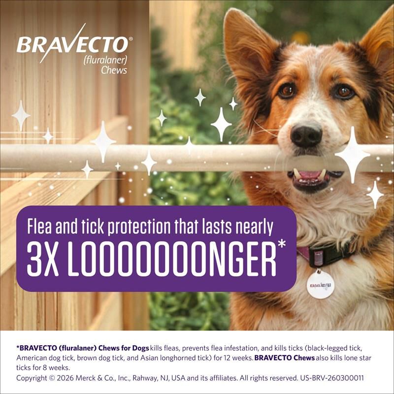 Bravecto Chewable Tablets 9.9-22 lbs Orange, 250 mg 1 chewable, 3 month acting