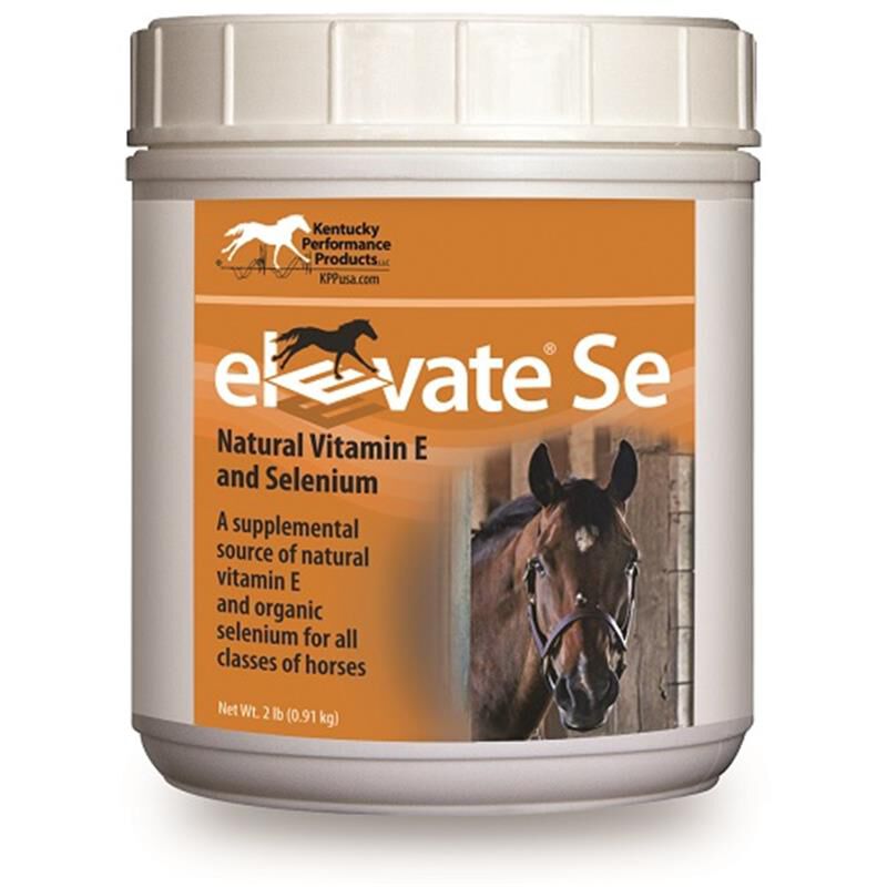 Elevate Vitamin E SE for Horses Equine Supplements Allivet