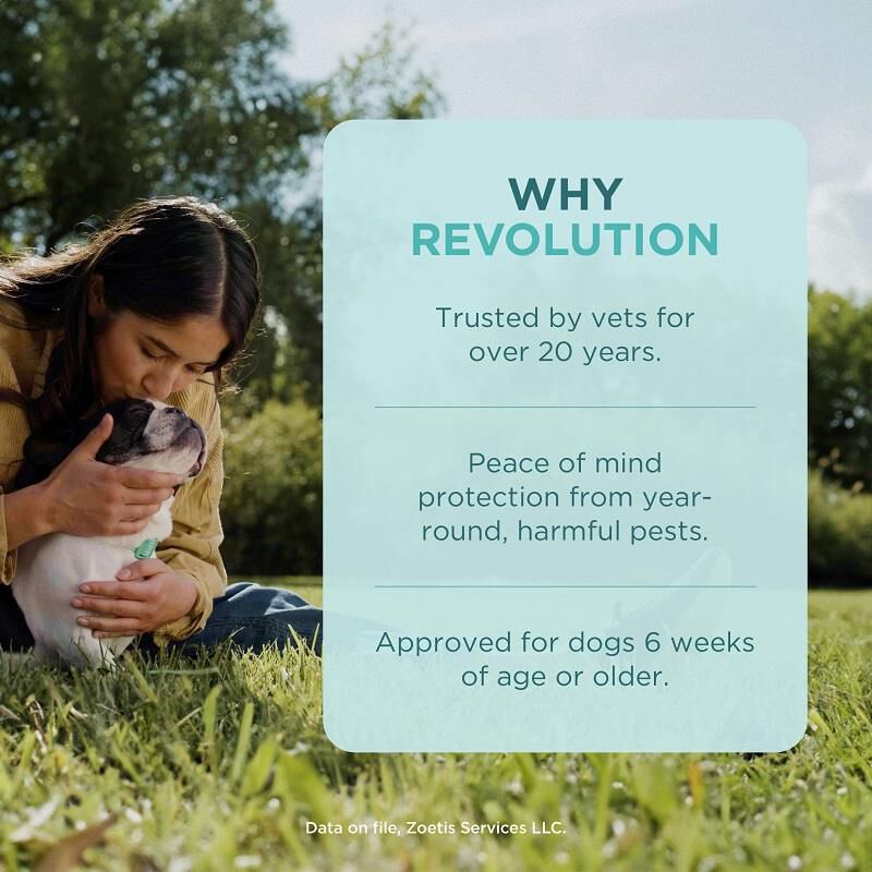 Revolution Topical for Dogs 20.1-40 Red, 3 Month Supply