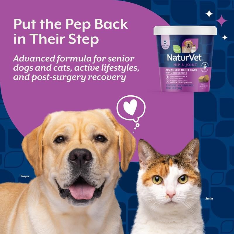 NaturVet Advanced Joint Care Hip & Joint Supplement for Dogs and Cats, 70 Soft Chews