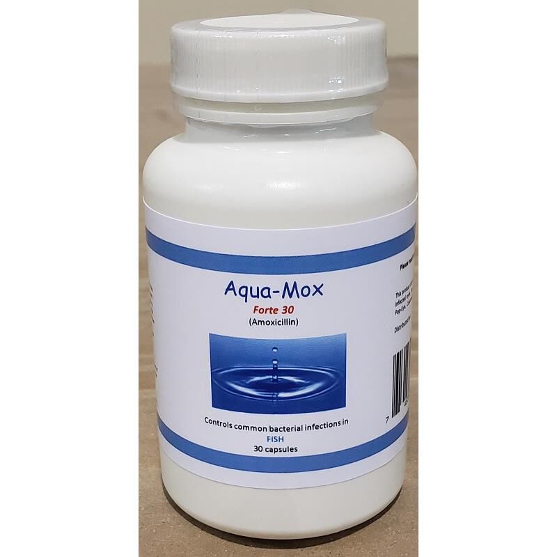 Cheapest price for amoxicillin 500mg